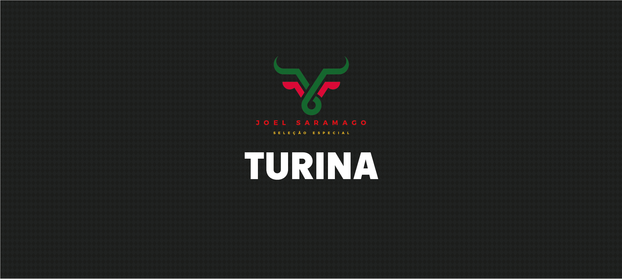 Turina